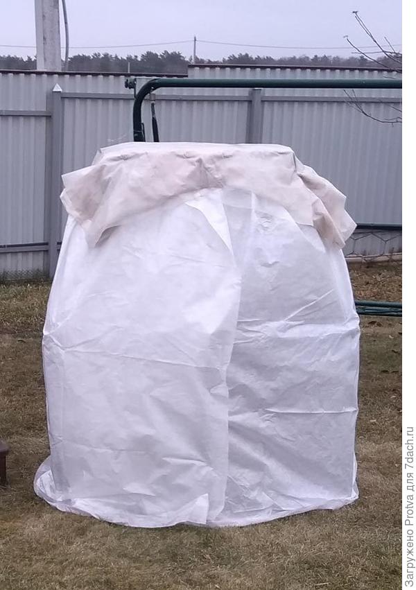 фото этого года