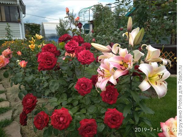 Для наглядности.