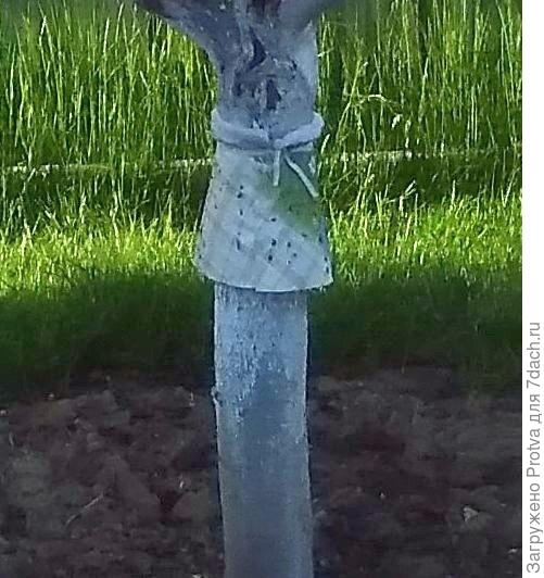 Сейчас делаю такие.