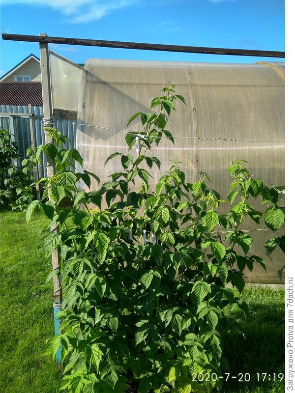 Слева стойка на уголке, вверху обвязка, посредине провода.