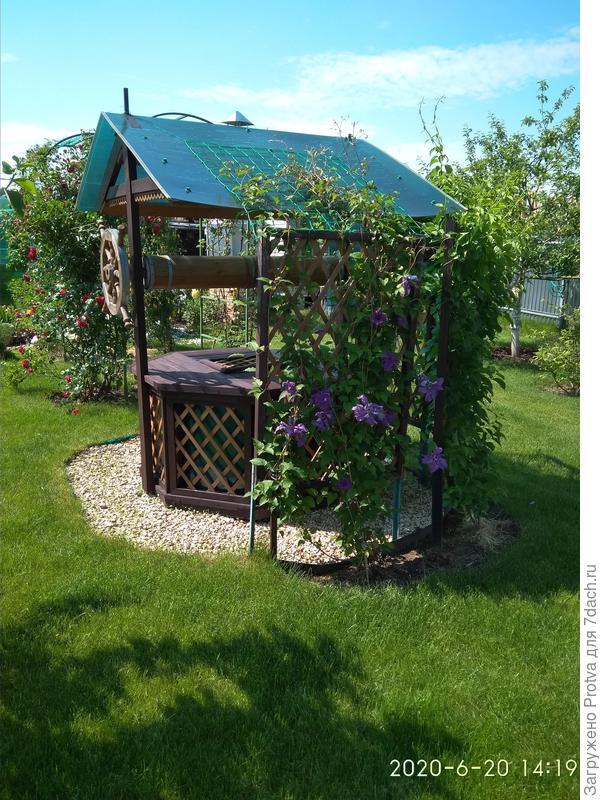 Колодец 2020 год