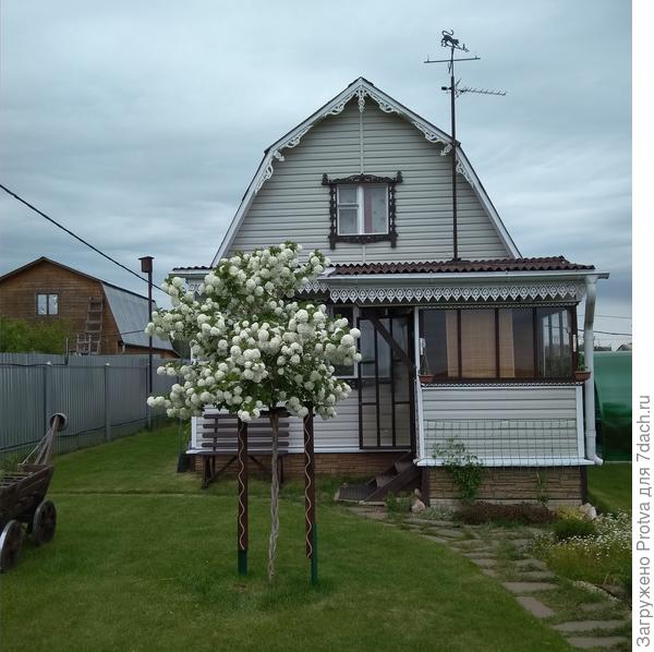 Штамбовая форма