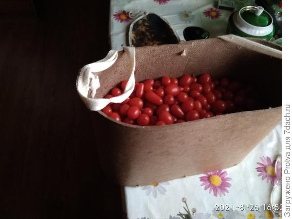 Сделал из оргалита кузовок для сбора малины, пригодился и для помидор. В нем сейчас почти 3 кг.