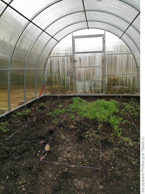 красная линия это укосина, таких желательно установить 4 шт.