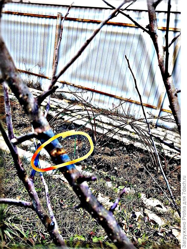 Повреждение после обработки в редакторе.