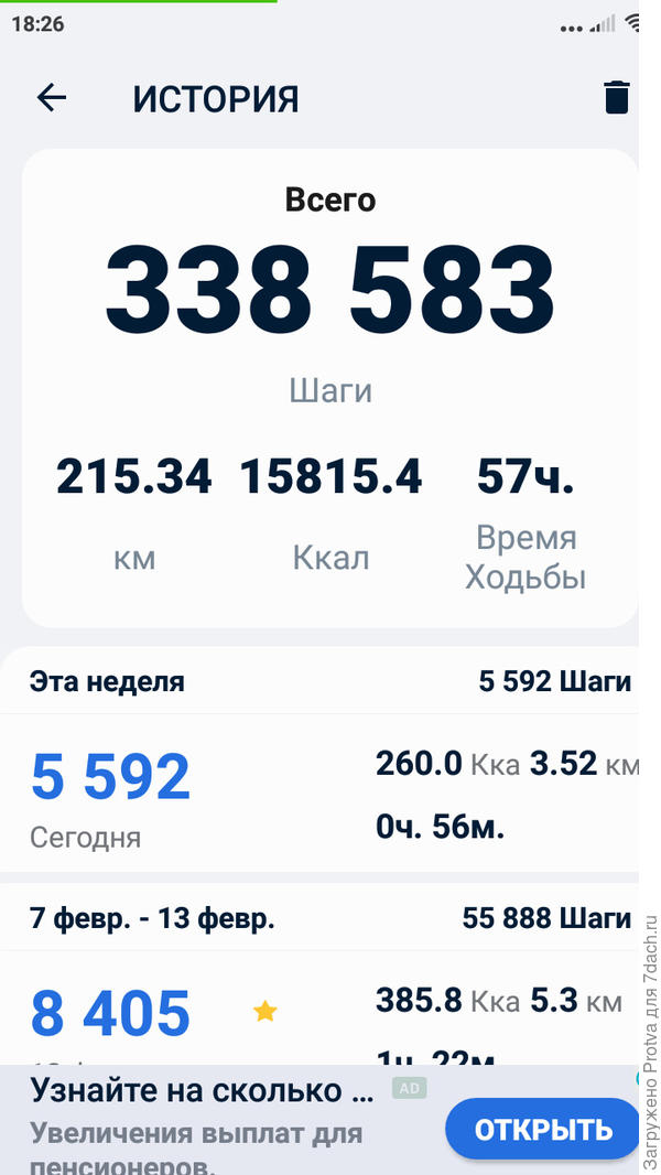 Скрин одной из страниц Шагомера