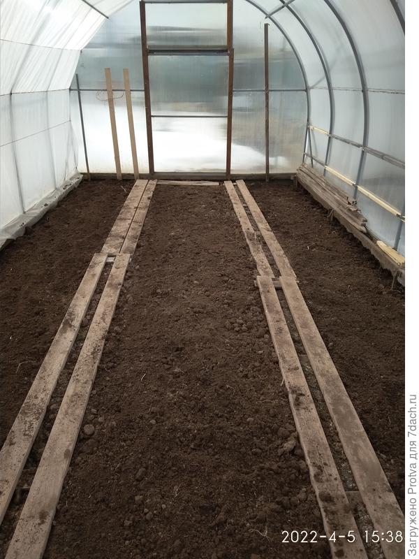 Выжила и почти готова к посадкам