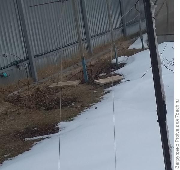 Ветки придавлены плитками, фото апрель 2022