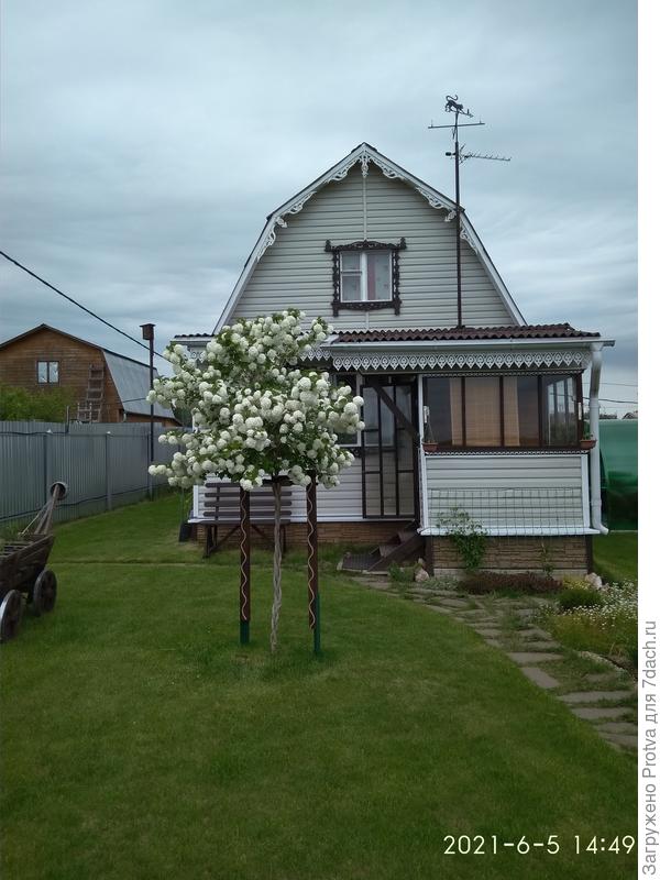 прошлый год