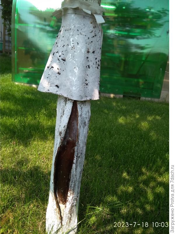 второе пострадавшее