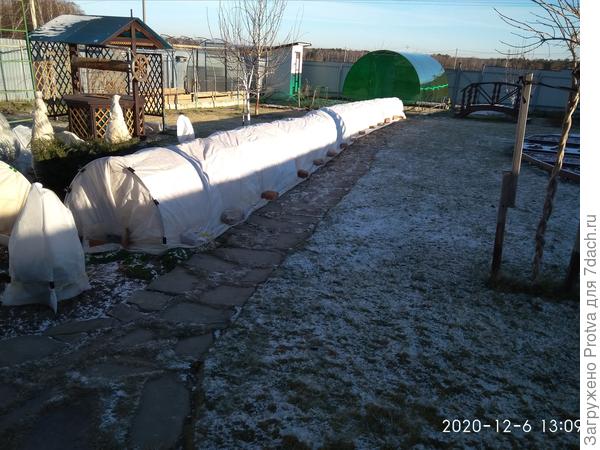 Тоннель с розами