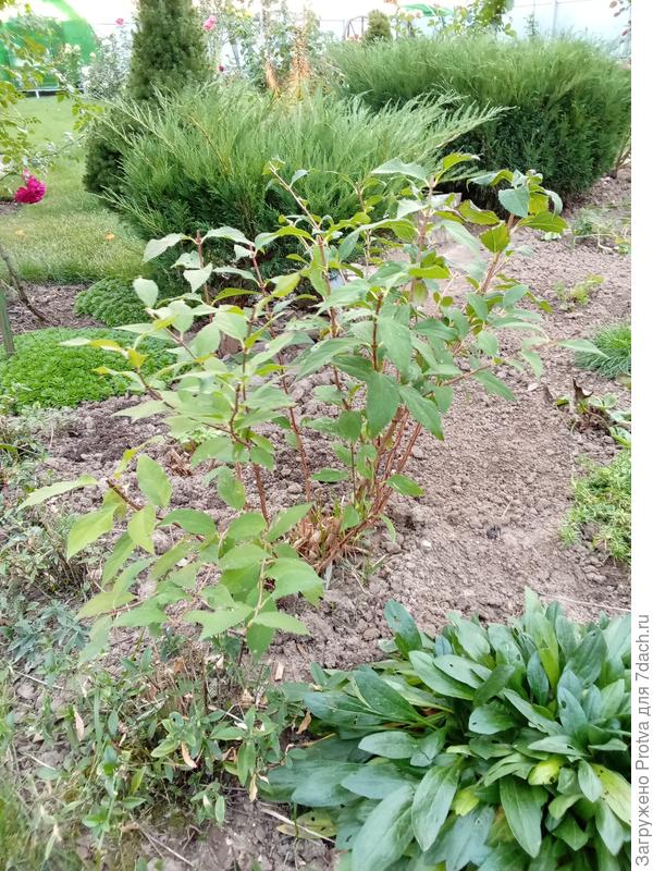 Сейчас для наглядности сделал это фото