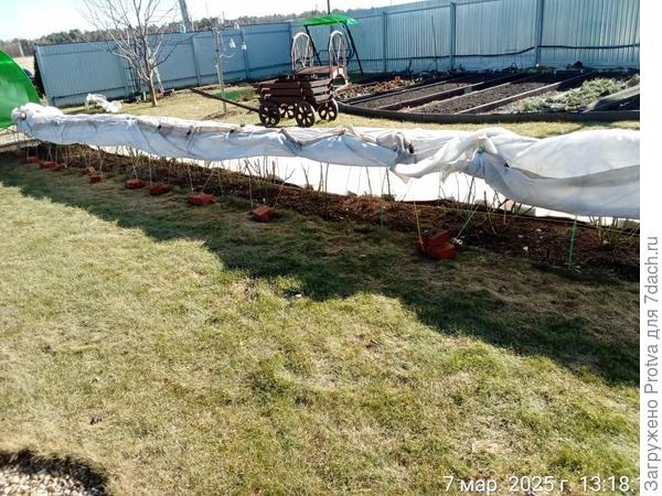 Вот такая у нас погода