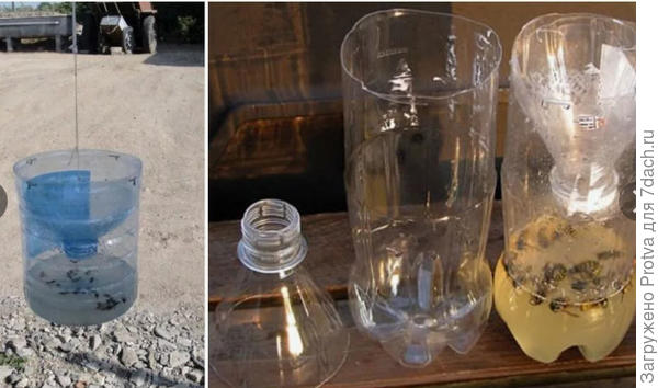 ловушка из бутылки