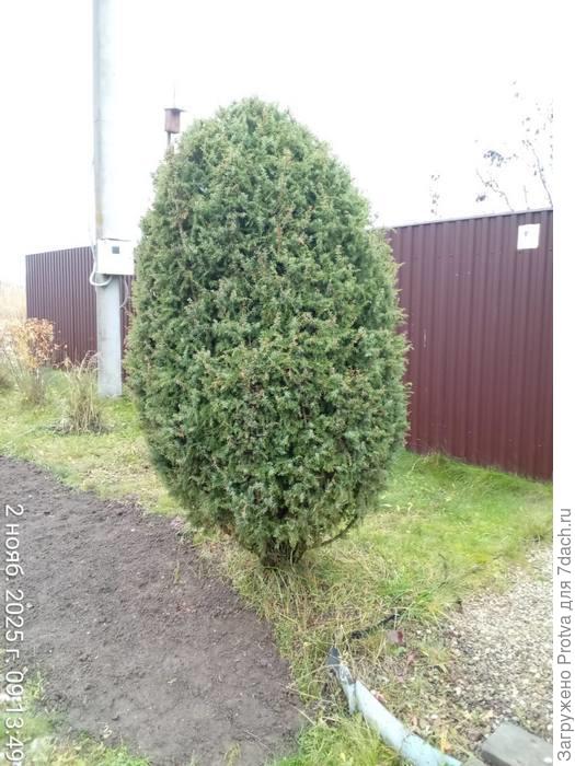 Прошло 10 лет