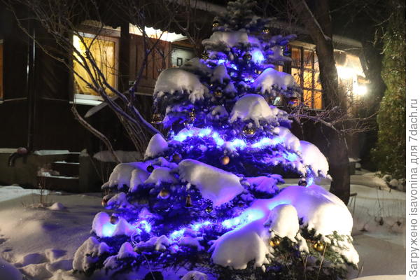 Наконец-то! Последние годы так часто не бывает снега, что впору  объявлять новый праздник 21 века: Новый новый год (20 января).