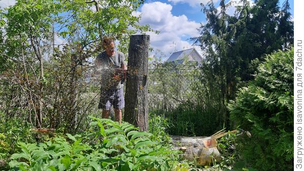 Вот они ГЕРОИ!