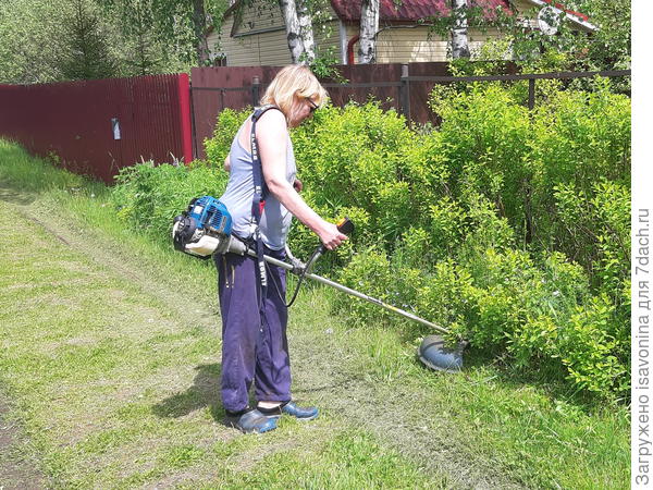 Это правда ЛЕГКО!