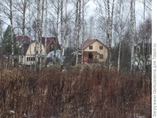 Наше СНТ. Вид с поля ...
