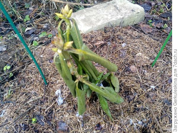 Хельсинский Университет 2 (тот же самый)