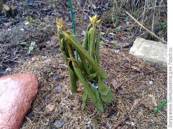 Хельсинский Университет 1