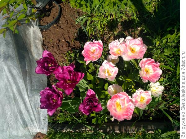 Приятный дуэт