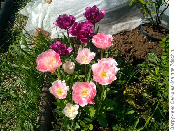 Иной ракурс