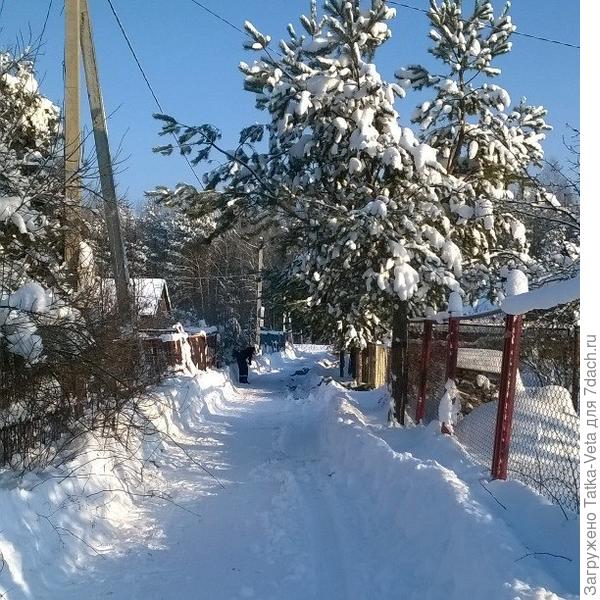 Работа на свежем...очень свежем воздухе