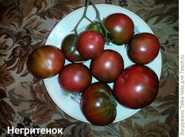 Негритенок