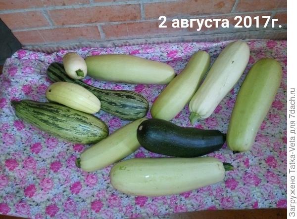 Собрала немного отвезти в Москву сестре...