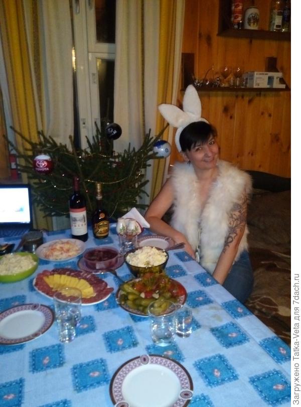 Зайка готова встретить Новый год))