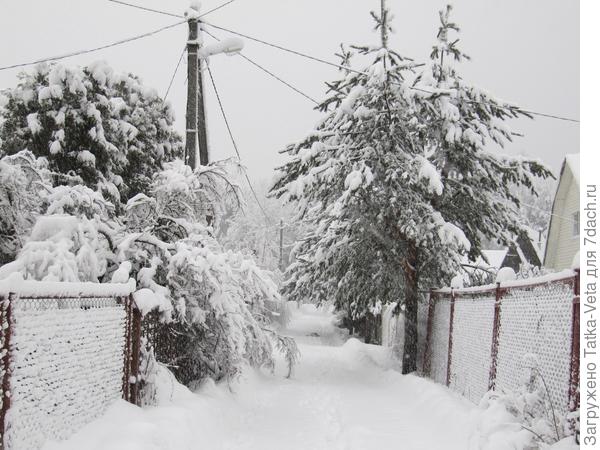 Дорога перед участком