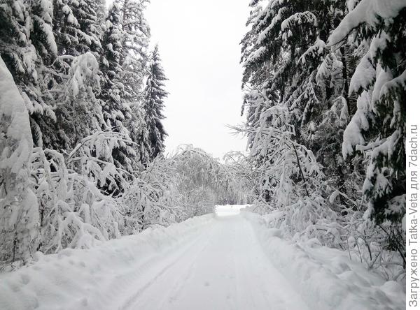 зимняя дорога