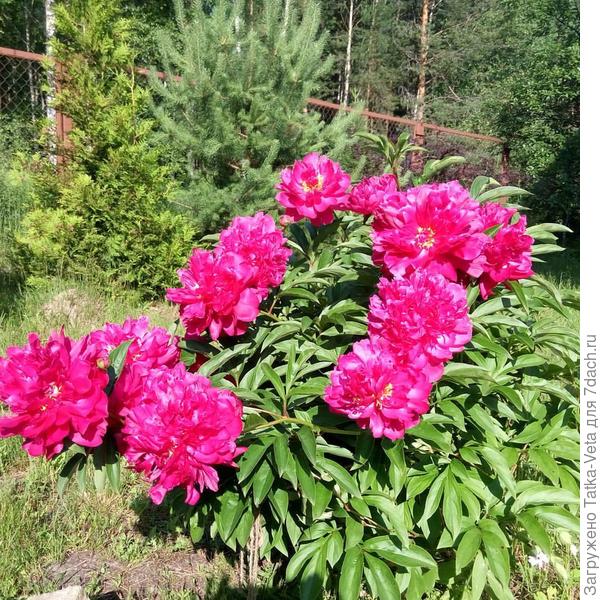 Букет для победительниц!