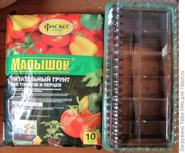Грунт и мини-парничок в ожидании новых жильцов.
