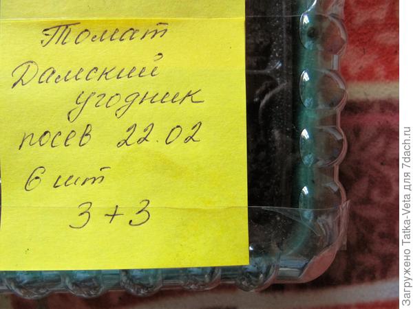 22.02.2018 был произведен посев в грунт 6 семян томата "Дамский угодник"