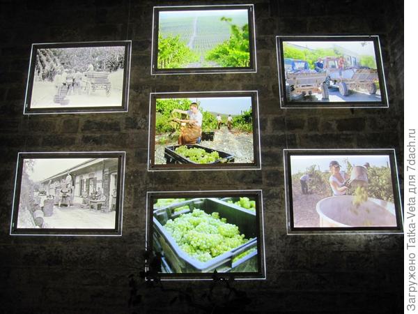 Абрау-Дюрсо