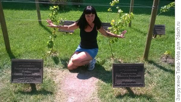 Абрау-Дюрсо