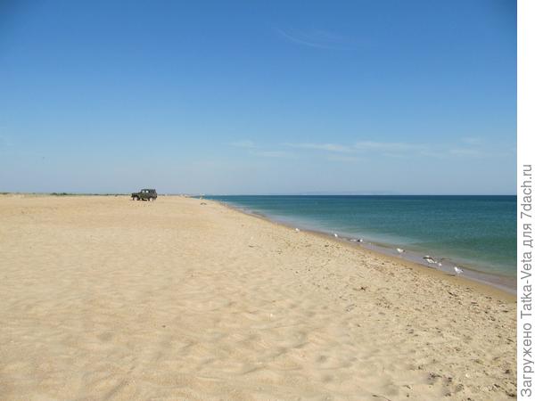 Ст. Благовещенская (Витязевская коса) первая половина августа.