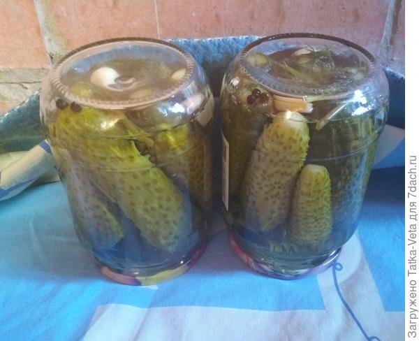 Сезон заготовок-2018 открыт!