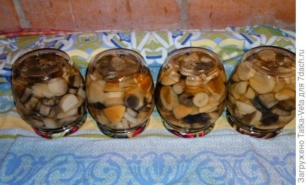 Маринованные грибочки.