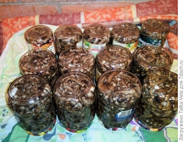 Маринованные опята