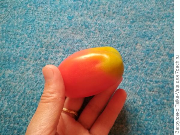 Плоды сливовидной формы, с небольшими ребрами, неяркой окраски, с глянцевой кожицей, большим пятном у плодоножки на всех плодах.