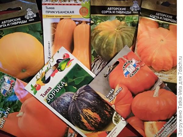 Раскладываю пасьянс - что где и сколько посадить))