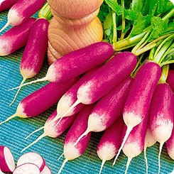 [30092m] &amp;amp;amp;amp;amp;amp;ETH;&amp;amp;amp;amp;amp;amp;nbsp;&amp;amp;amp;amp;amp;amp;ETH;&amp;amp;amp;amp;amp;amp;micro;&amp;amp;amp;amp;amp;amp;ETH;&amp;amp;amp;amp;amp;amp;acute;&amp;amp;amp;amp;amp;amp;ETH;&amp;amp;amp;amp;amp;amp;cedil;&amp;amp;amp;amp;amp;amp;Ntilde; &amp;amp;amp;amp;amp;amp;ETH;&amp;amp;amp;amp;amp;amp;ETH;&amp;amp;amp;amp;amp;amp;micro;&amp;amp;amp;amp;amp;amp;ETH;&amp;amp;amp;amp;amp;amp;raquo;&amp;amp;amp;amp;amp;amp;Ntilde;&amp;amp;amp;amp;amp;amp;ETH;&amp;amp;amp;amp;amp;amp;sup1; &amp;amp;amp;amp;amp;amp;ETH;&amp;amp;amp;amp;amp;amp;ordm;&amp;amp;amp;amp;amp;amp;ETH;&amp;amp;amp;amp;amp;amp;raquo;&amp;amp;amp;amp;amp;amp;Ntilde;&amp;amp;amp;amp;amp;amp;ETH;&amp;amp;amp;amp;amp;amp;ordm;, 1 &amp;amp;amp;amp;amp;amp;ETH;&amp;amp;amp;amp;amp;amp;sup3;