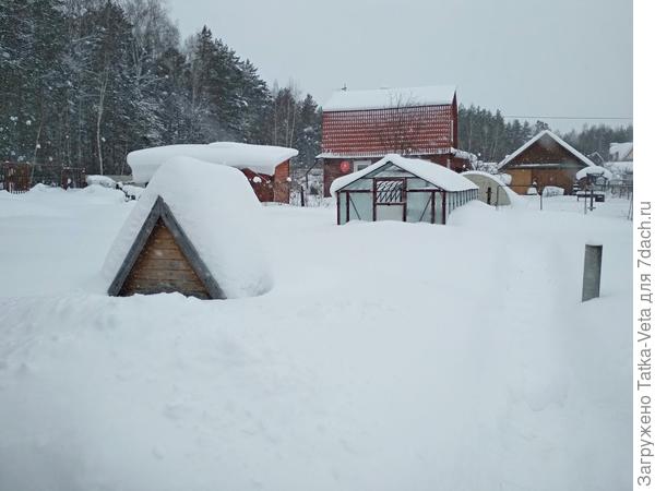 Эта часть участка не скоро будет доступна, наверное только весной. Хотя тропинку к тепличке стараемся чистить по мере возможности.