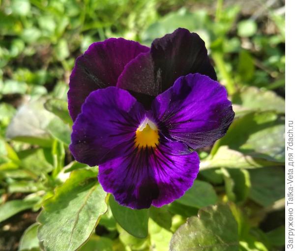 Некоторые были вот такие...