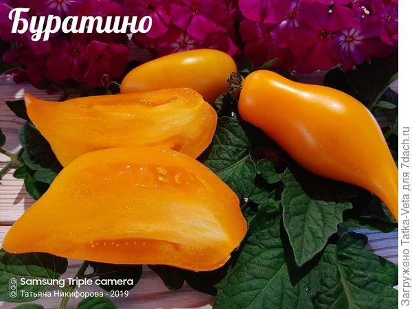 Буратино