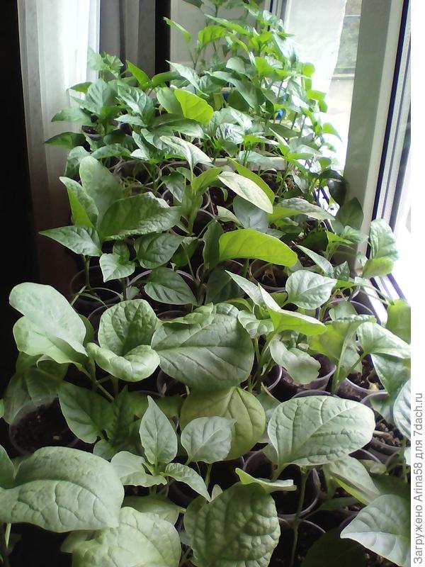 Ждём тепла!!!