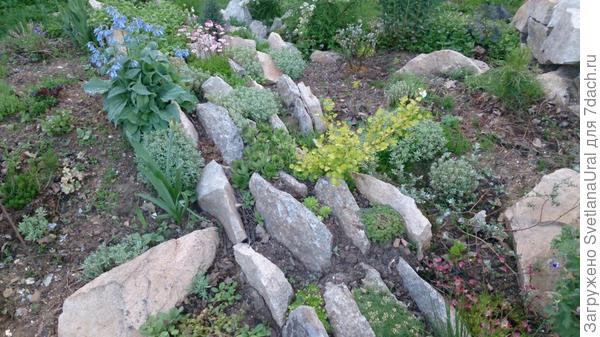 Это подобие скалки в 2015 году.